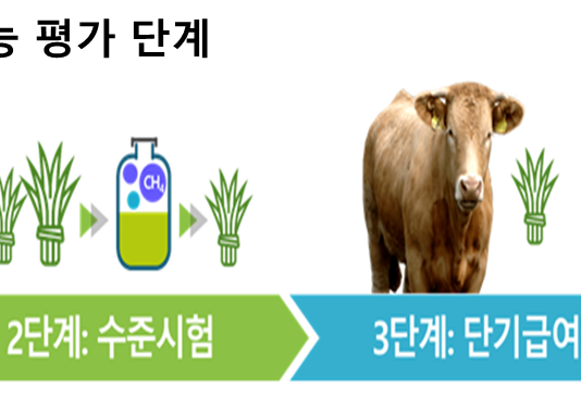 저메탄 사료 소재 개발, 탄소중립 축산 실현 ‘첫걸음’