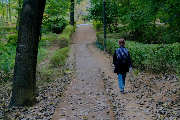 a person walking down a path in the woods