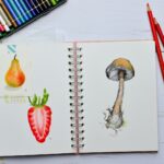 변하는 식단 트렌드, 건강을 지키는 나만의 식사법 찾기 white and red rose on white printer paper