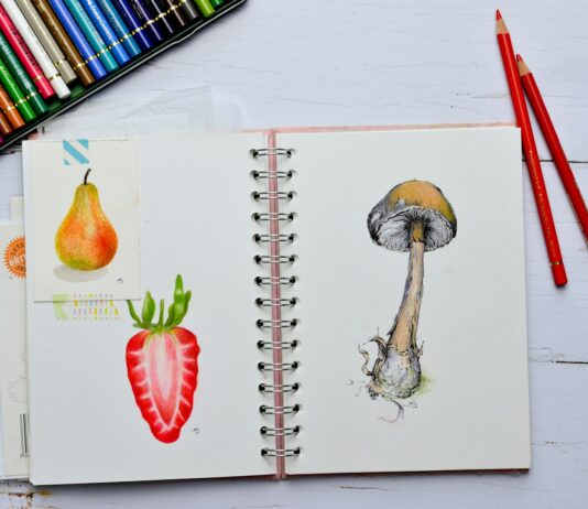 변하는 식단 트렌드, 건강을 지키는 나만의 식사법 찾기 white and red rose on white printer paper