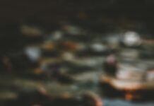 “마음 챙김에서 디지털 디톡스까지… 일상 속 정신건강 지키는 생활 실천법” pink and white lotus flower