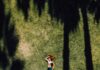 나만의 웰니스, 일상에서 실천하는 건강한 삶의 문화 woman lying on green grass during daytime