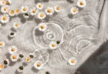 일상 속에서 만나는 ‘웰니스 문화’, 작은 습관부터 시작하는 건강한 변화 white and blue floral textile